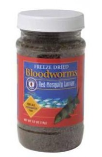 San Francisco Freeze Dried Bloodworms 14gm