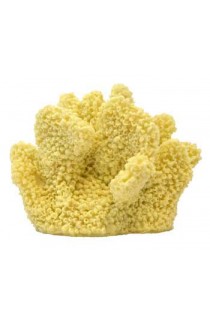 Coral Replica - Cats Paw Coral 3x3x2.25"