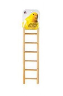 Prevue 384 Bird Basics Ladder 7 Step