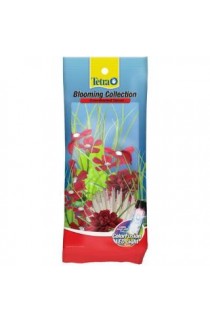 Tetra Multipack, Blooming Aquarium Decorations