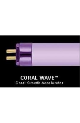 Wavepoint Coral Wave 24 W 21" HO T5 Coral Growth Lamp