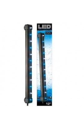 Commodity Axis LED/Airstone 12" - 2.7 Watt - Blue/White