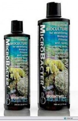 Brightwell Microbacter-7 Bioculture Fresh & Marine 67 oz. 2 L.