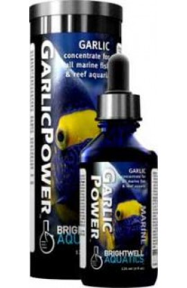 Brightwell Garlic Power Concentrated Supplement 2 oz. 60 ml.