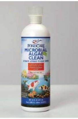 Pondcare Microbial Algae Clean 16 oz. Bottle