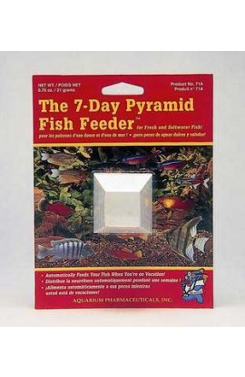 Vacation Pyramid Fish Feeder (12pc)