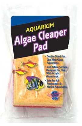 Algae Cleaner Pad