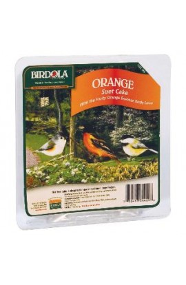 Birdola Orange Suet