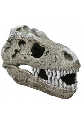 Resin Ornament - T - rex Skull - Large