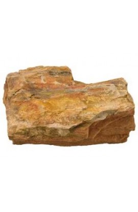 Estes Petrified Wood - Assorted Size - 25lb