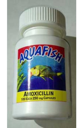 Amoxicillin 100cap Bottle