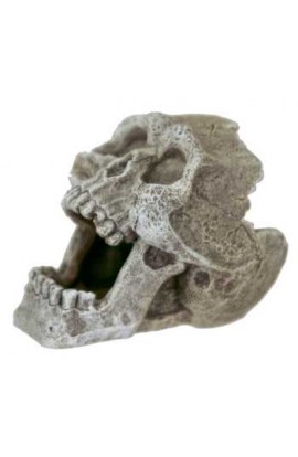 Resin Ornament - Mini Cracked Human Skull