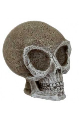 Resin Ornament - Mini Alien Skull