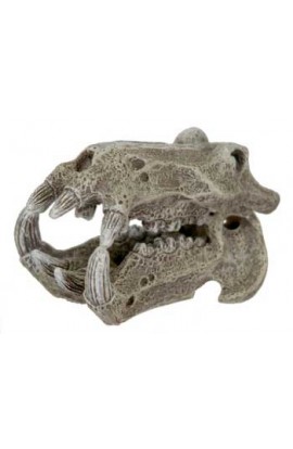 Resin Ornament - Mini Hippo Skull