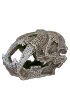 Resin Ornament - Mini Saber Tooth Skull