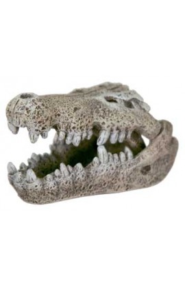 Resin Ornament - Mini Nile Crocodile Skull