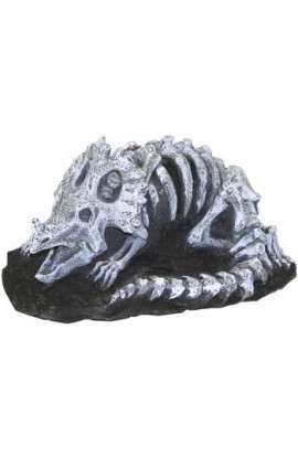 Resin Ornament - Fossil Finds - Triceratops