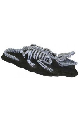 Resin Ornament - Fossil Finds - Nile Crocodile