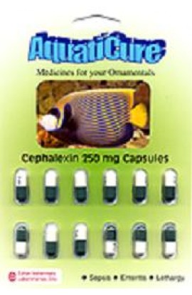 Cephalexin 12cap Carded