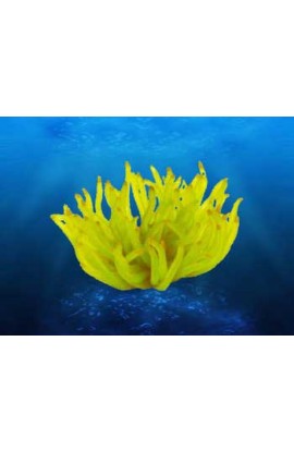 Coral Replica - Atlantic Anemone 5.5x5.5x3.5" Yellow
