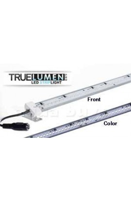 Truelumen Pro LED Strip 12000 K White 24