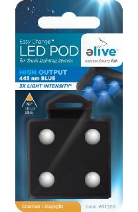 Elive High Output Lunar Blue LED Light Pod