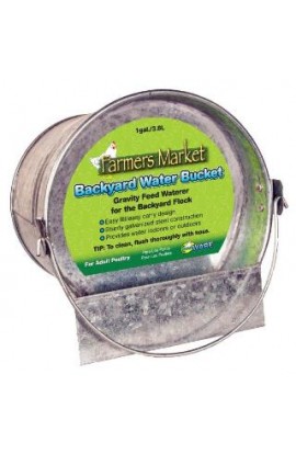 Ware Backyard Water Bucket