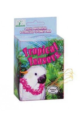 Tropical Teasers Coco Fiber Dispenser Box