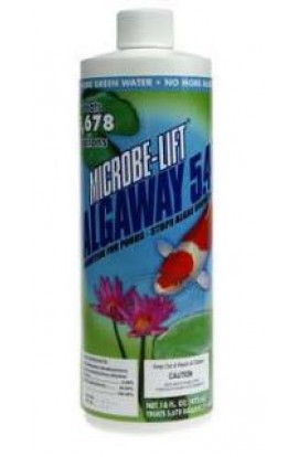 Microbe-Lift Algaway 5.4 16 oz.